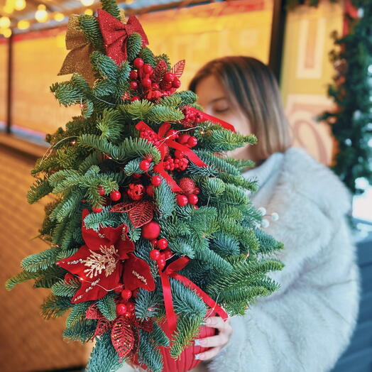 Ёлки-иголки