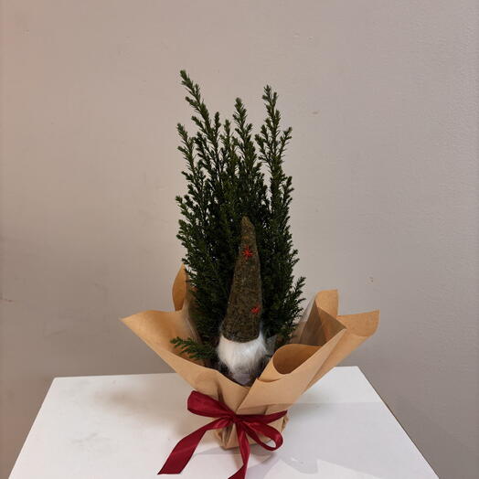 Мини елочка с гномом