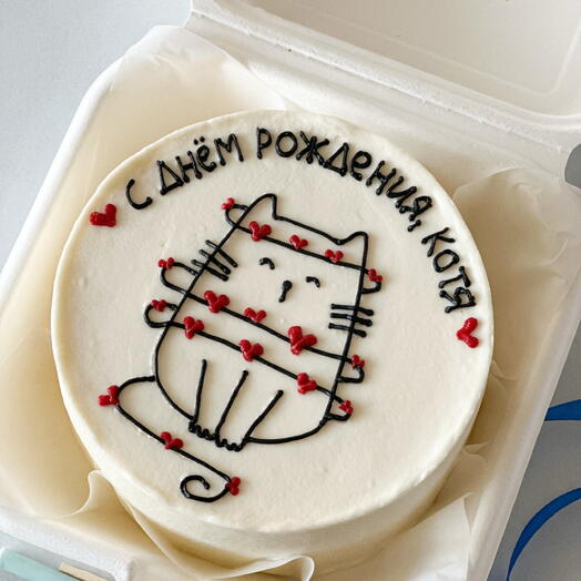 Бенто торт на день рождение с котом