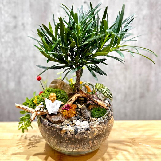 Флорариум-Бонсариум с фикусом Подокарп «Единение»