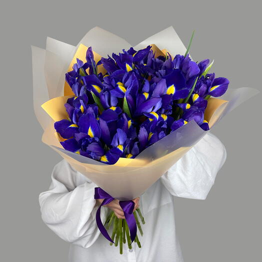 Ramo de iris 19 piezas