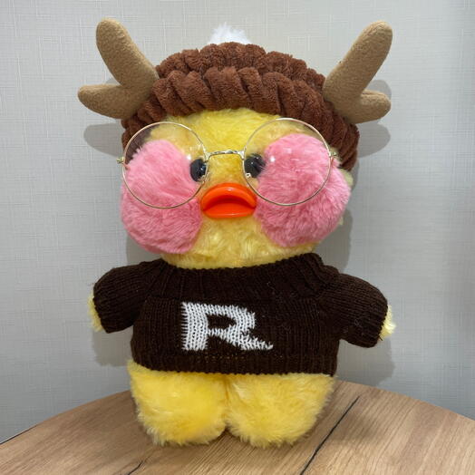 Утенок в коричневой кофте