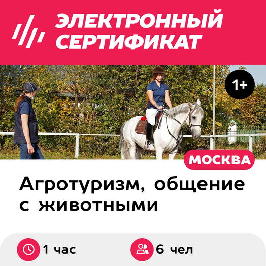 Подарочный сертификат Индивидуальная экскурсия на конюшню и катание верхом, до 6 чел. (1 час)