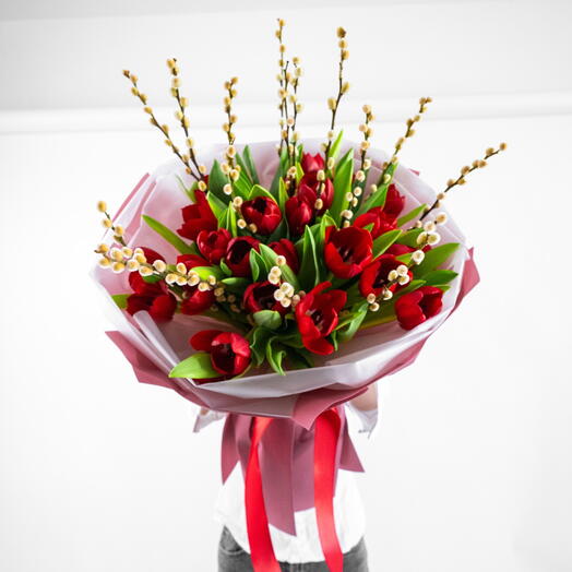 Red tulips and salix