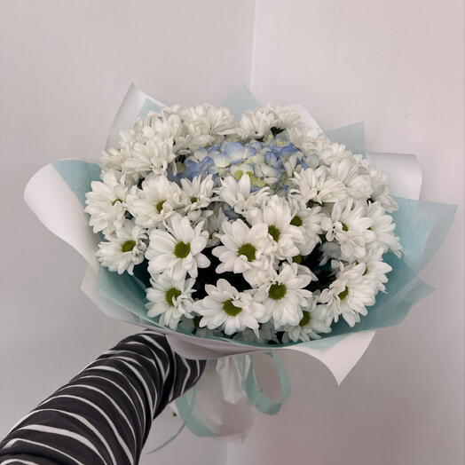 Хризантема кустовая и гортензия🩵💐