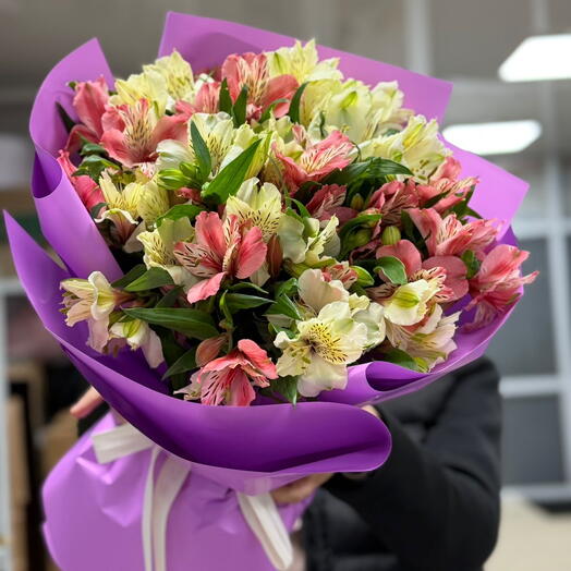 Sweet Alstro Blush