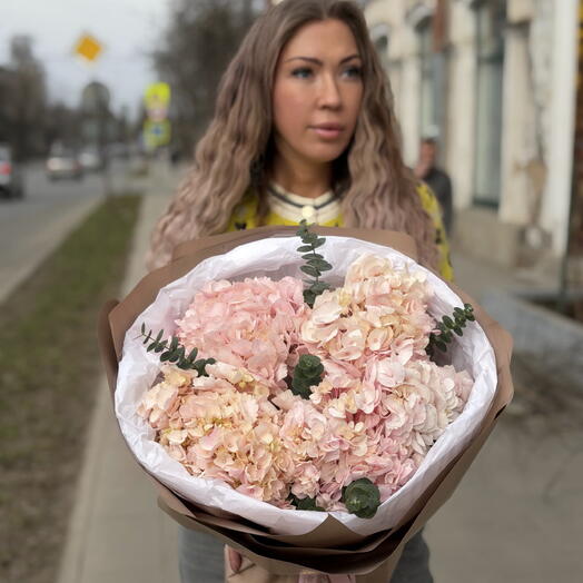 Гортензии