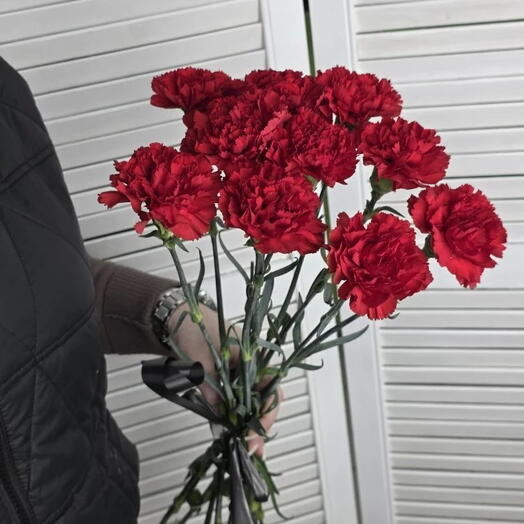 Красные гвоздики 10 шт