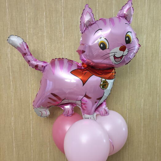 Кошечка с розовыми шарами