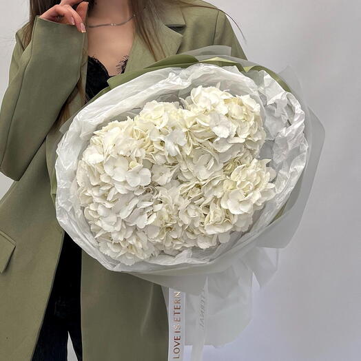 Гортензия White