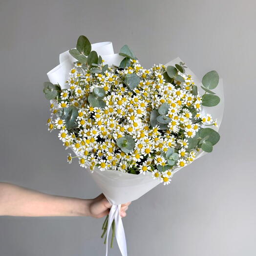 Букет из ромашки и эвкалипта 🌼🌼