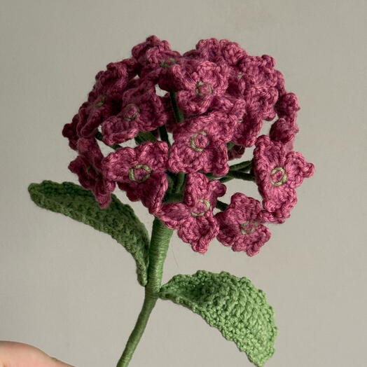 Гортензия🌸