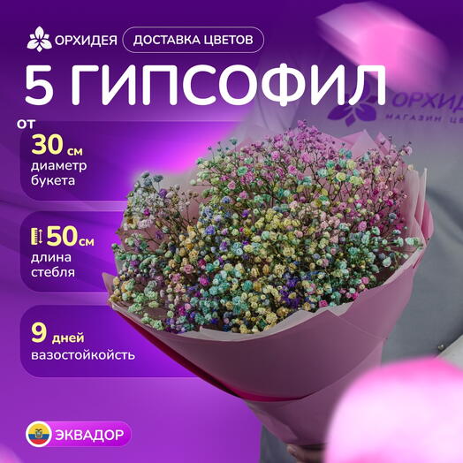 Букет 5 Гипсофил