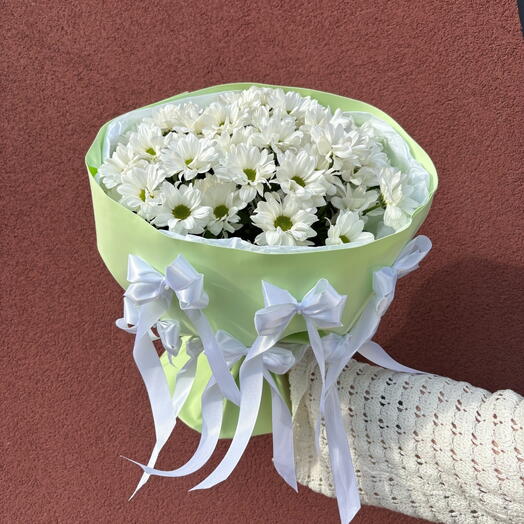 Ромашковая симфония