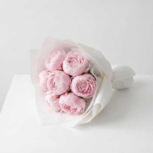 7 peonies by Sarah Bernhardt in pink