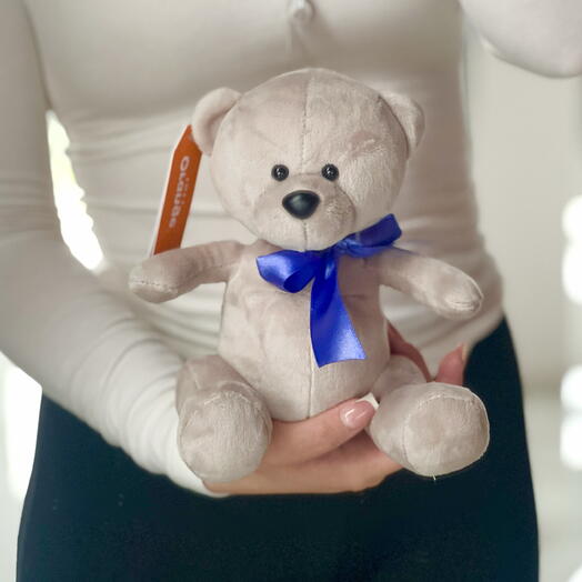 Игрушка медвежонок маленький