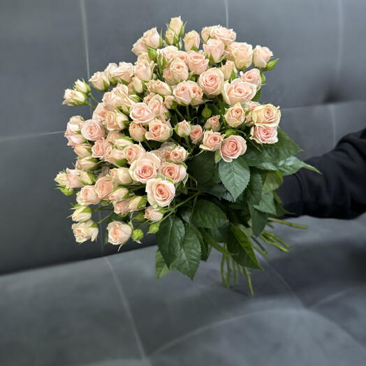 Роза кустовая Лидия 21