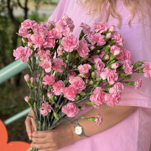 Диантусы кустовые💗💗💗💗💗💗