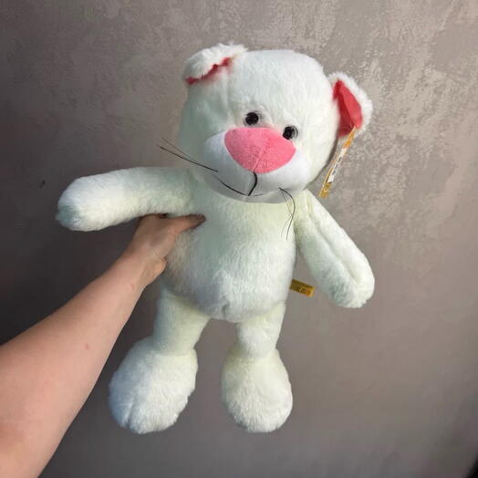 Супер кот