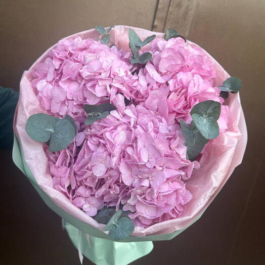 Maison Blush Hydrangea 3 🌸