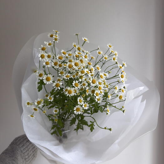 Летний букет из ромашек🌸