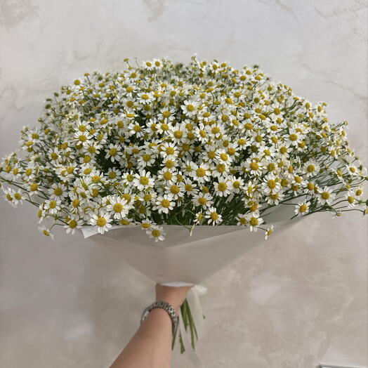 Ромашки