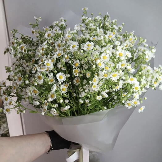 Ромашки букет гигант