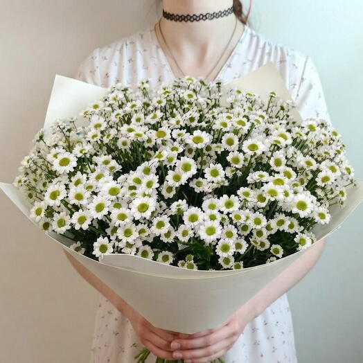 Ромашки-Милашки 25 штук (XL), букет из белых кустовых хризантем Сантини в упаковке