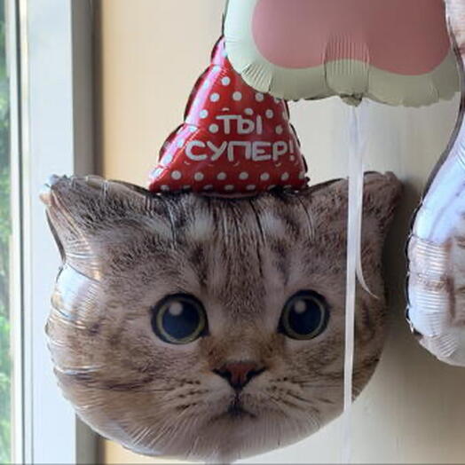 Шар КОТИК фольга