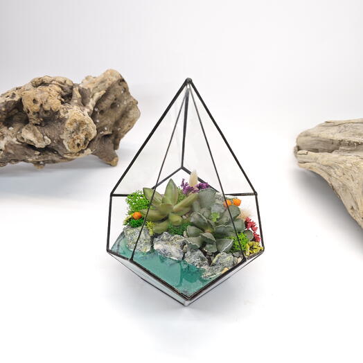 Florarium with succulents "Bright" with a Drop lake 14x20cm