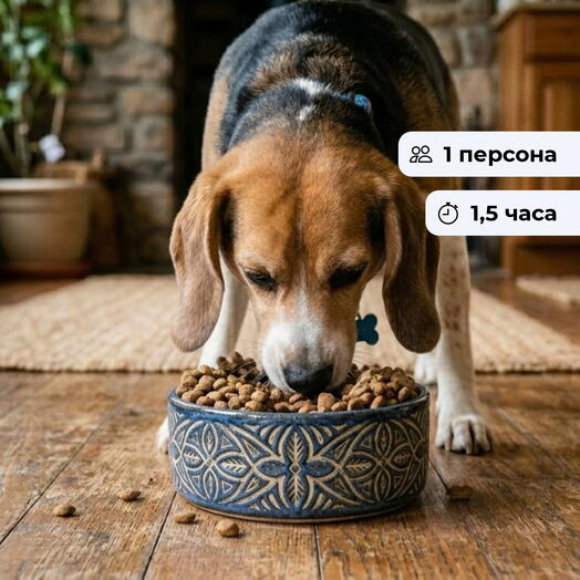 Своя тарелка. Мастер класс по лепке из глины миски для питомца