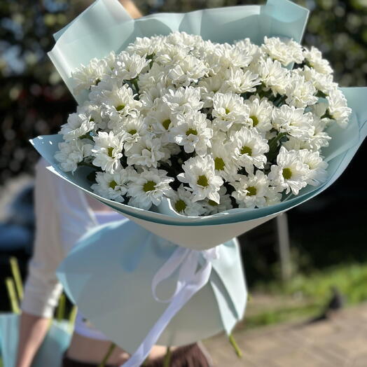 Летнее настроение ромашек М 🌸