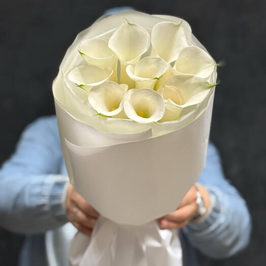 Калла белая
