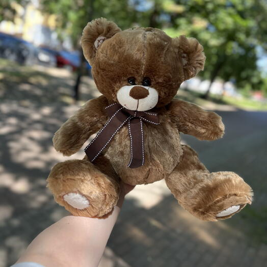 Коричневый медведь 🐻