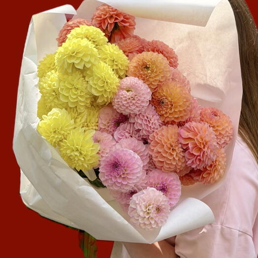Dahlia big bouquet