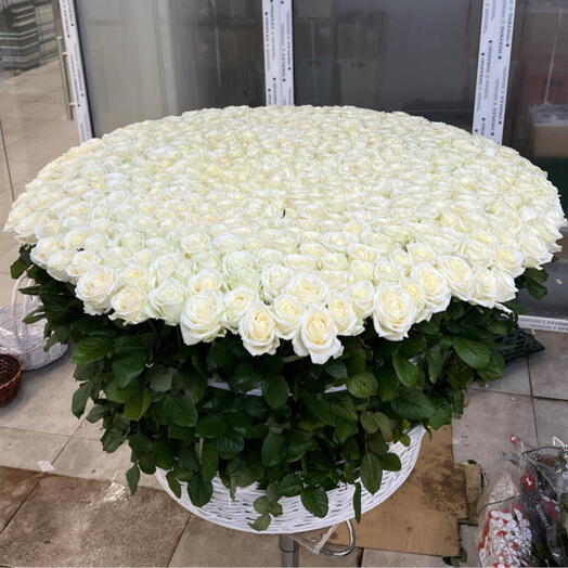 🌹501 КРУПНАЯ БЕЛАЯ РОЗА В КОРЗИНЕ🌹