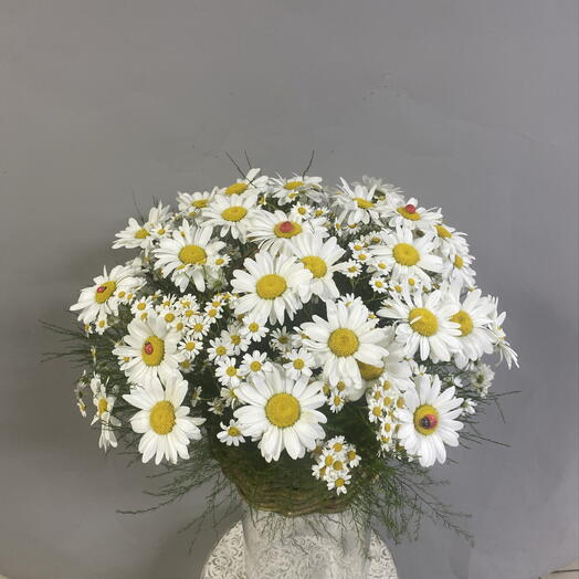 Корзина с ромашками