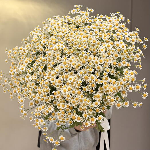 Букет из нежных ромашек 😍🩷🩷🩷