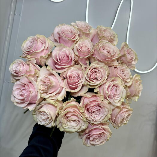 Изысканный букет из 21 французской розы сорта Пинк Мондиаль 💕