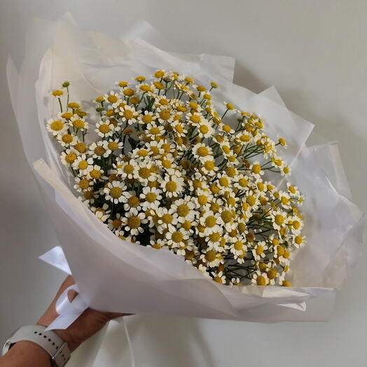 Ромашки 🌼🌼🌼