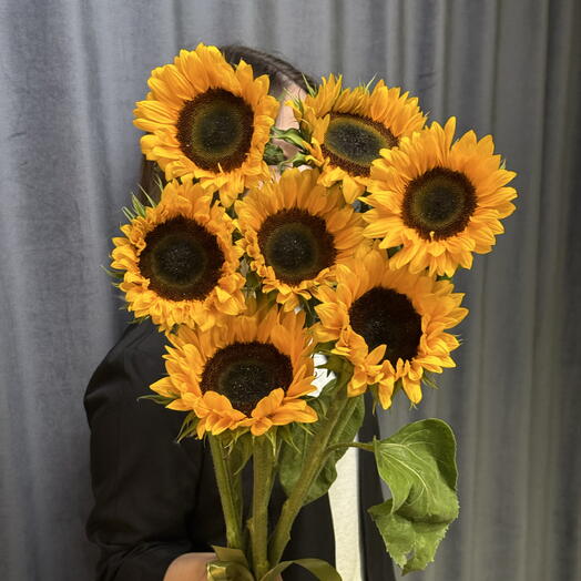 Подсолнухи🌻7 штук