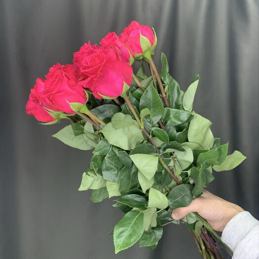 Роза VI Pink 15 шт
