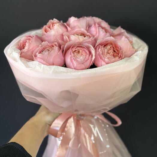 Pink rose