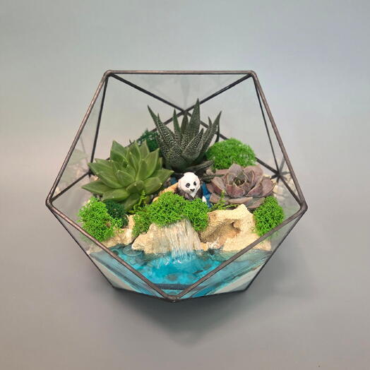 Florarium con suculentas "Rocas y mar"