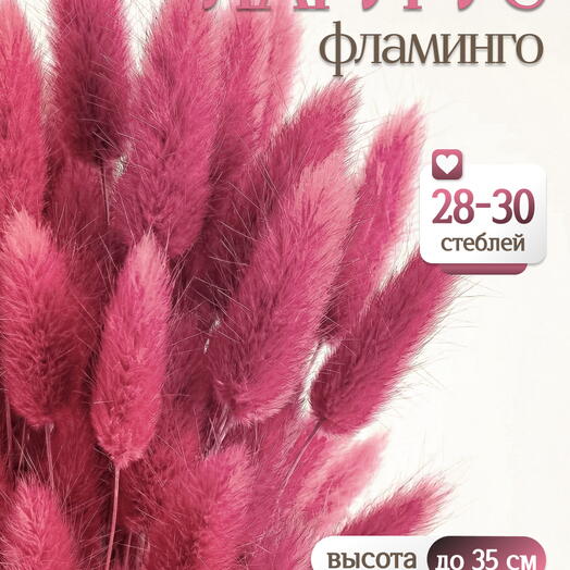 Лагурус фламинго 30 шт. Высший сорт. Высота 25-35 см М708