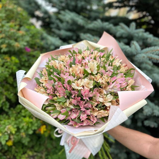 51 веточка альстромерии