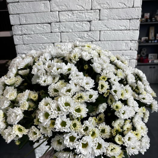 Букет из 25 хризантем под ленту
