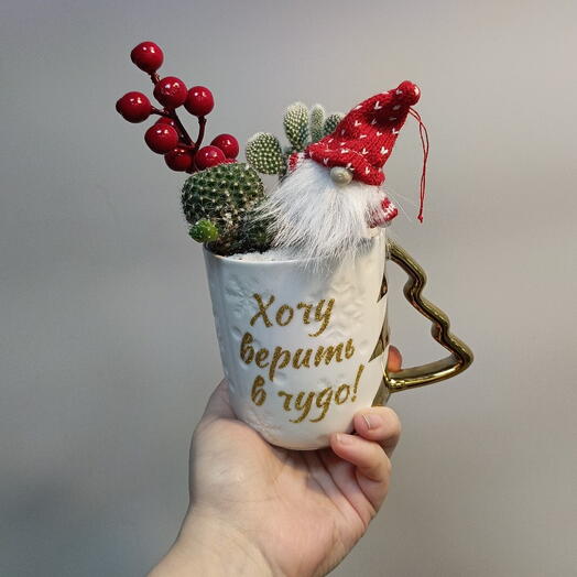 Новогодний флорариум в керамической кружке «Хочу верить в чудо!» со скандинавским гномом, живыми кактусами и зимними ягодами