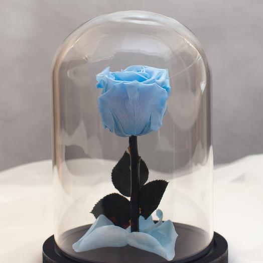Rose in the flask RozaRose Mini Blue