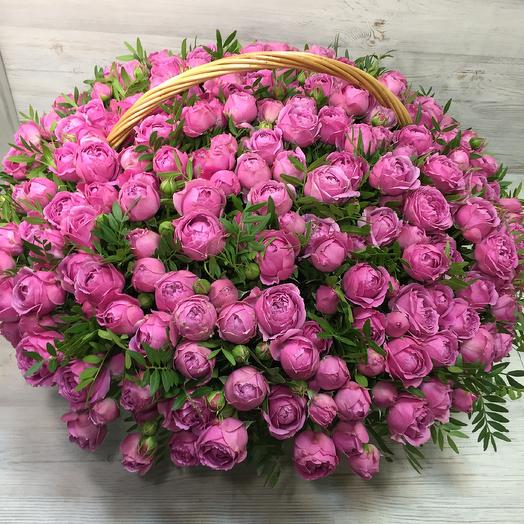 Azalea